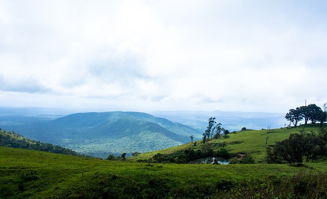 官方：前阿根廷国脚加戈被墨超内卡萨解雇；今年第二次下课