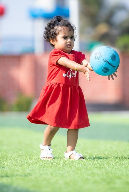 来自台湾的 来自台湾的