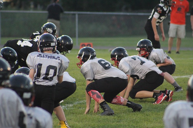 仅仅体现在 仅仅体现在