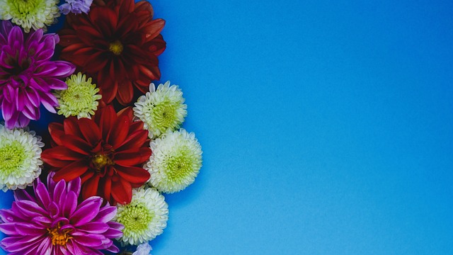 球隊的市場 球隊的市場