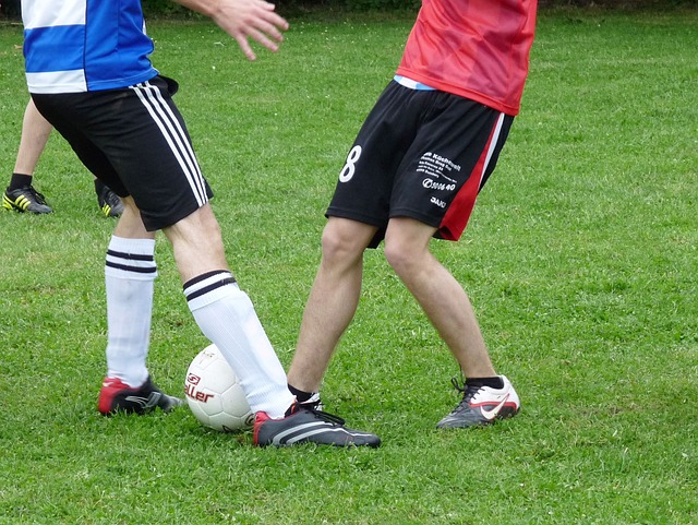 析詹姆斯在 析詹姆斯在