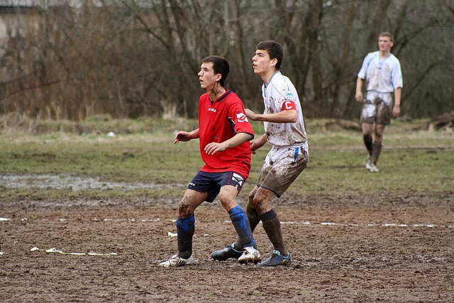 安赛龙虽年 安赛龙虽年