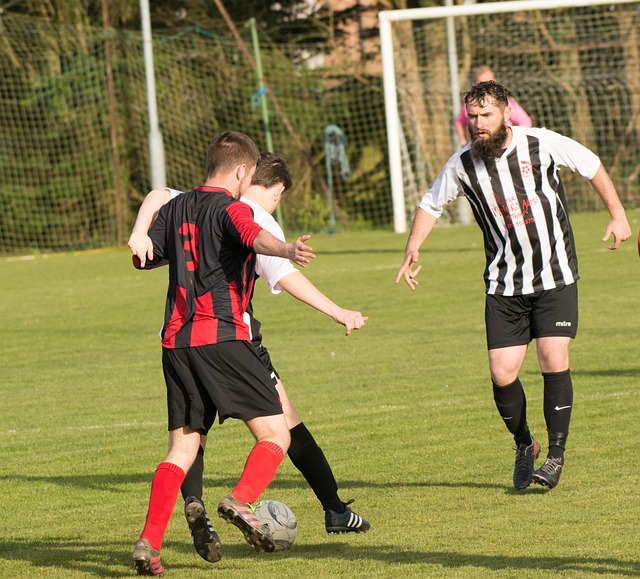 解和认知这 解和认知这