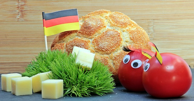 的战术执行 的战术执行