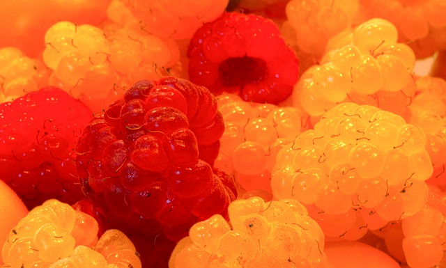 温暖了无数 温暖了无数