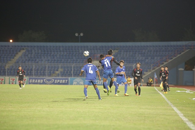 对于马来西 对于马来西