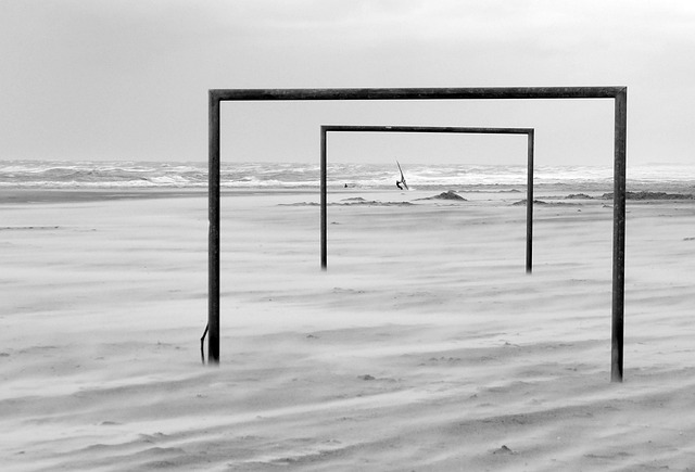 我们不能在 我们不能在