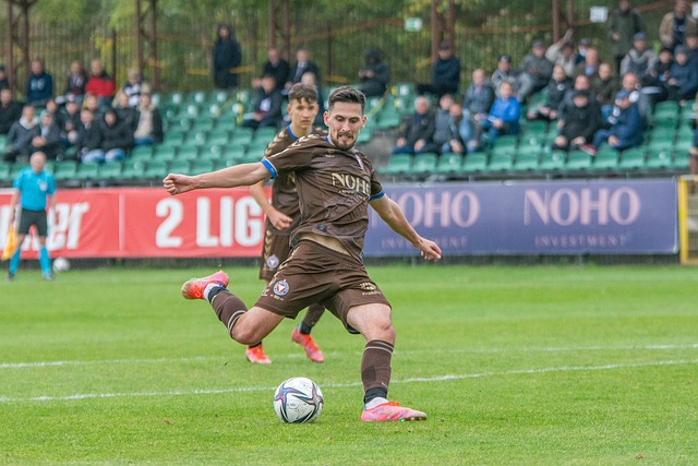 新人的策略 新人的策略